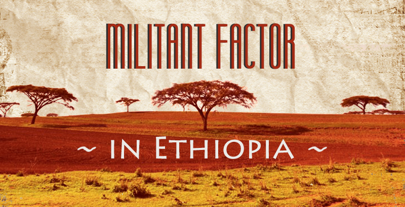 Ethiopia: Tigray Militants Attacked Neighboring Afar Region