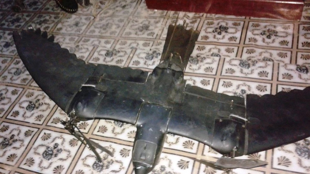 Bird-Like Drone Crashed in Somalia