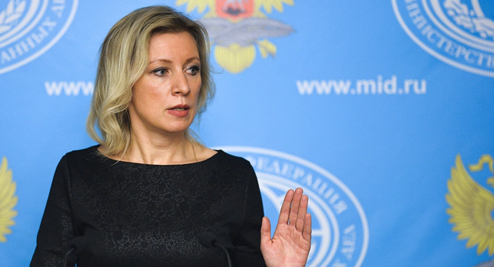 Russian Foreign Ministry Accuses US of Protection for Terrorists