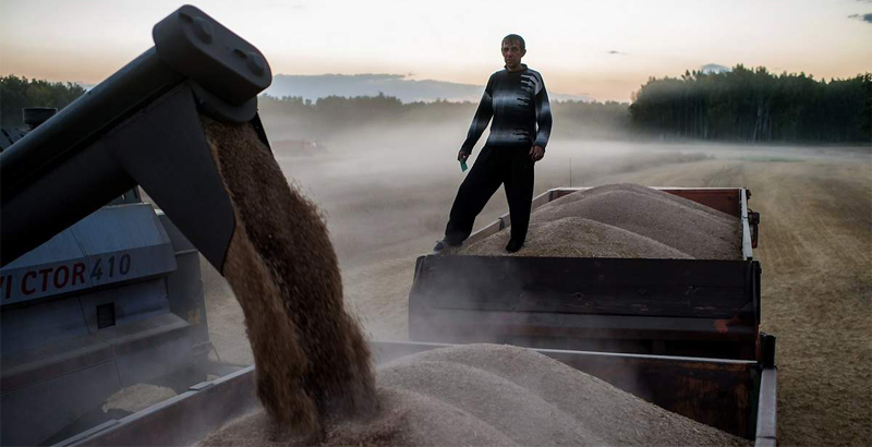 Turkey Imposes Duties on Grain Imports from Russia