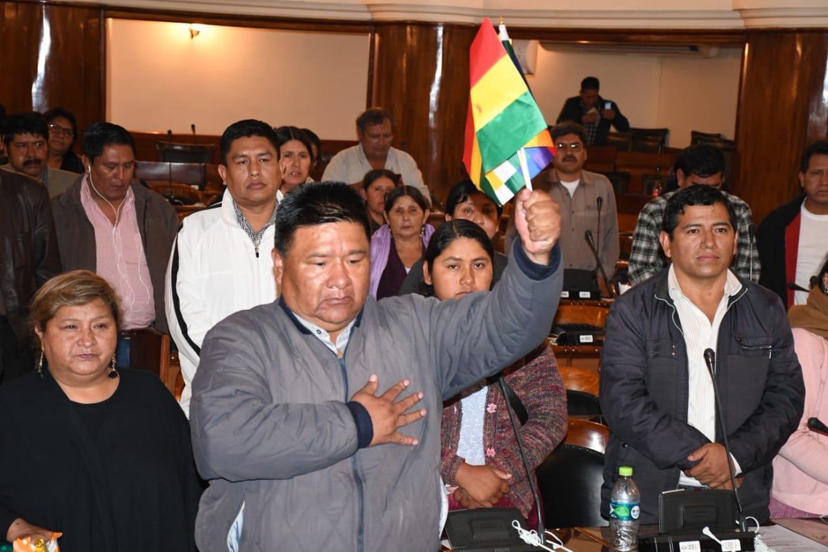 Bolivian Parliament Elects New Head, Refuses to Acknowledge Self-Proclaimed President Jeanine Anez