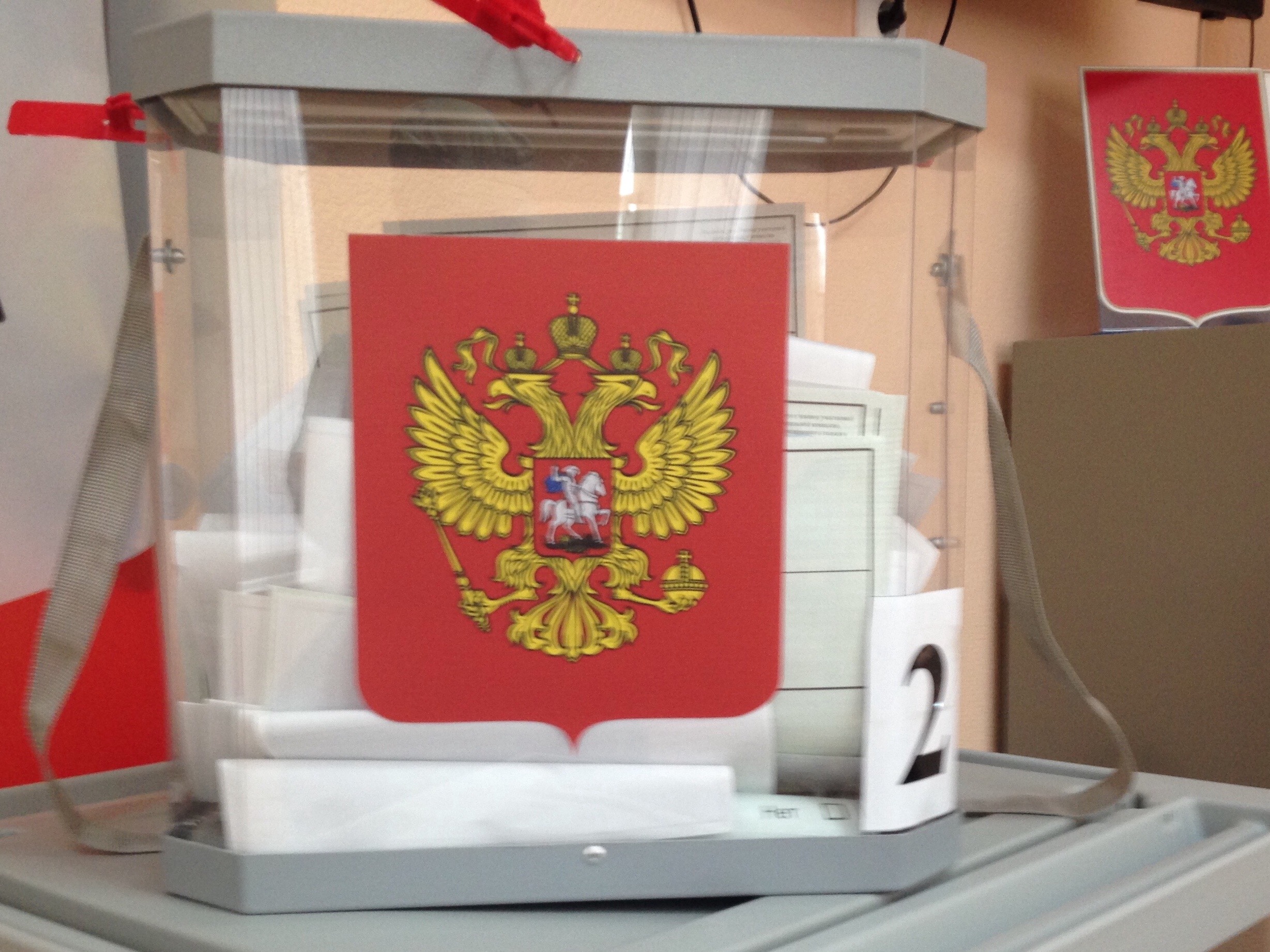 Russians Vote On Constitutional Amendments Referendum