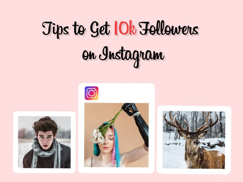 How Do You Get 10k Followers on Instagram?