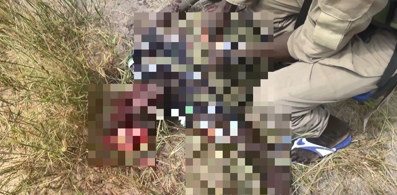ISIS Released Photos Of Recent Ambush In Nigeria’s Borno
