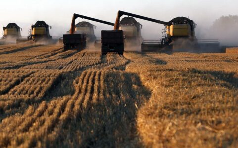 US Takes Wheat Out Of Ukraine. War-Torn Country Doomed To Famine