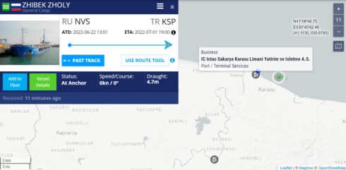 Turkey Detained Russian-Flagged Cargo Ship Carrying Grain From Berdyansk
