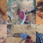 ISIS Terrorists Kill Dozens During Attack On Southeastern Mali Town (Photos)